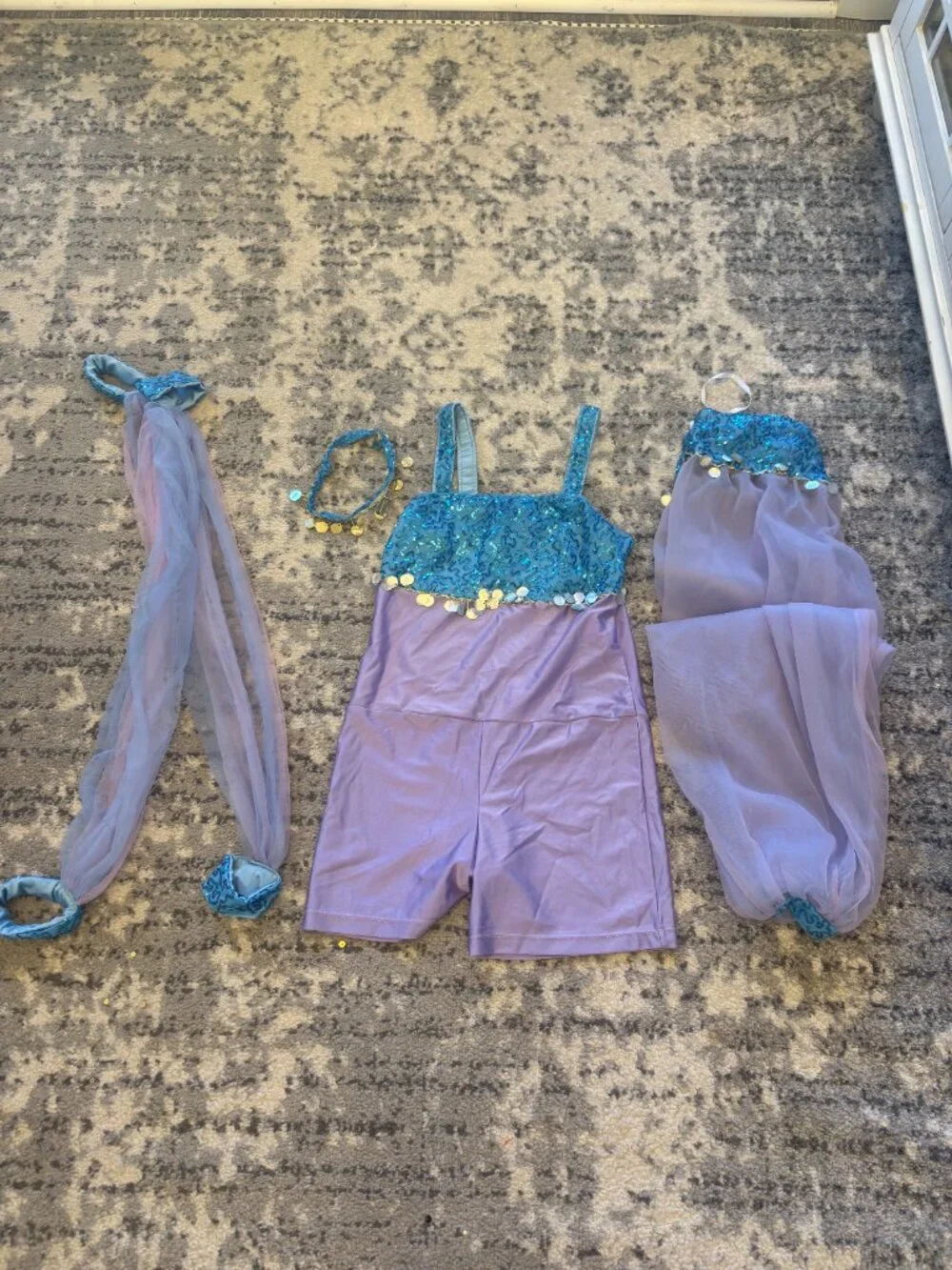 Dance Costume Lot - Arabian Nights: 10 Complete Group Costumes: Multiple Sizes